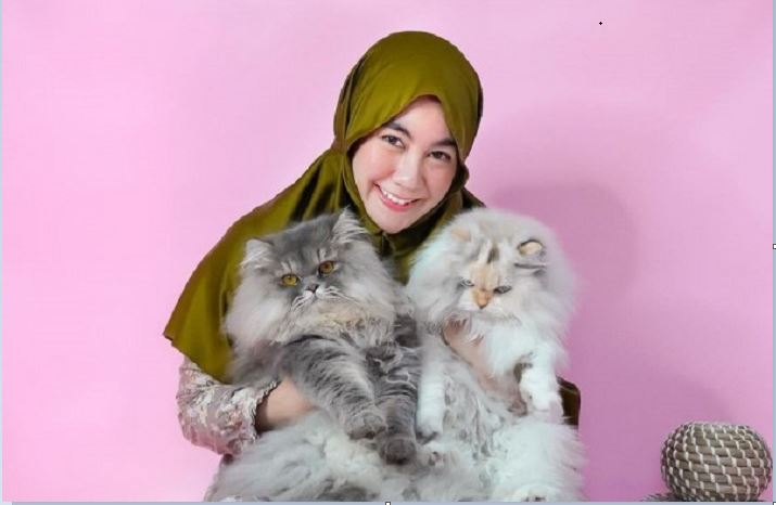 Imunitas Kucing Milikmu Menurun, Ini yang Harus Dilakukan