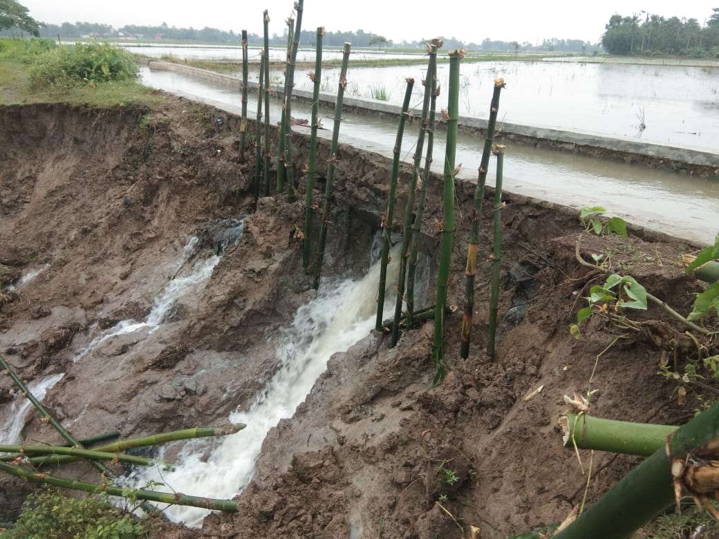 Kades di Cilamaya Patungan Benahi Saluran Tersier