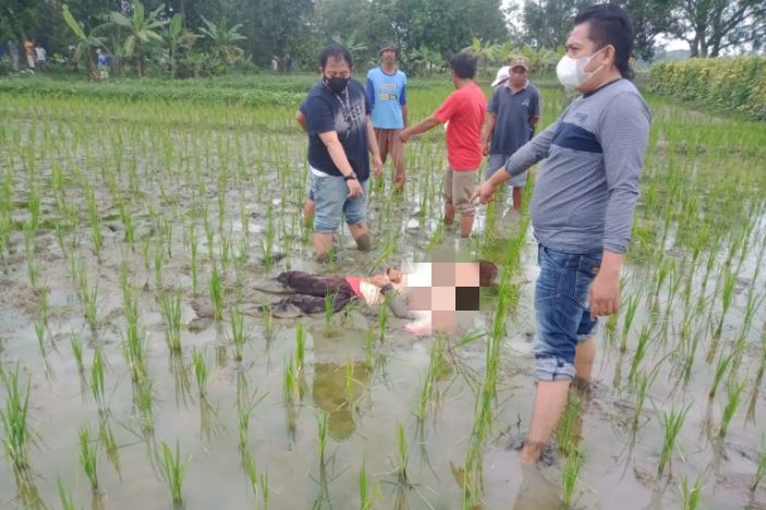 Petani Kaget Lihat Mayat di Tengah Sawah