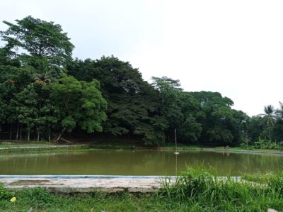 Diyakini Air Keramat, Balong Gede Ini Bisa Obati Kesedihan