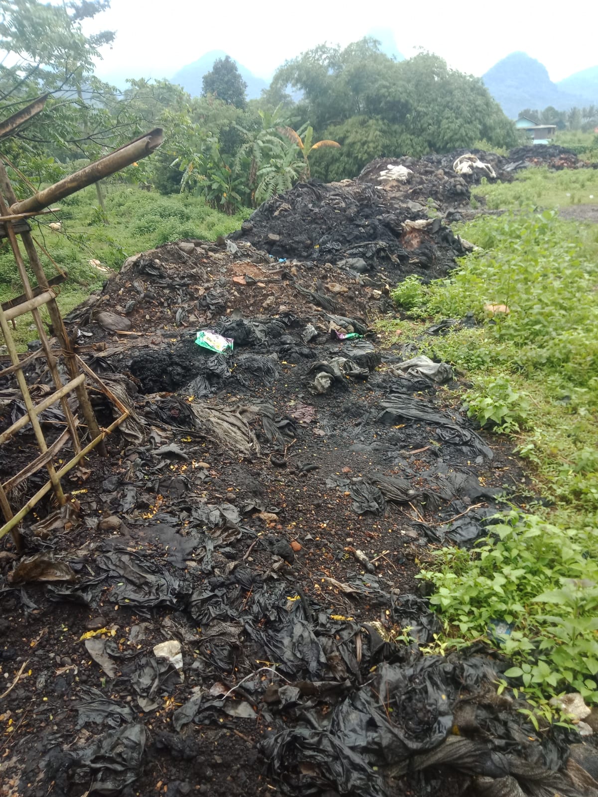 Kejahatan Lingkungan Merajalela di Karawang Selatan