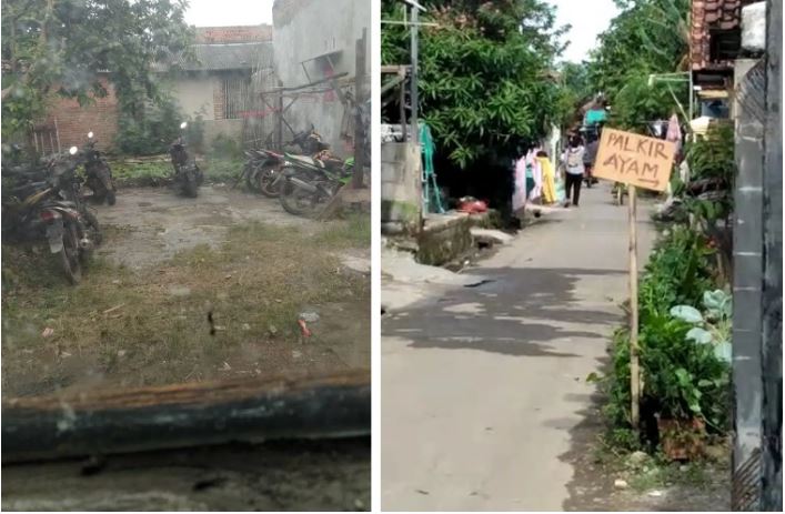 Diduga Sering Terjadi Judi Sabung Ayam, Warga Resah, Berharap Polisi Segera Menangkap Para Pelaku