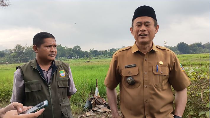 Rawa Taman Harus Dikelola Jadi Tempat Wisata