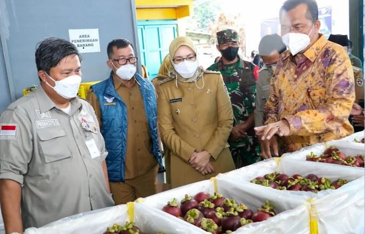 Manggis dari Perkebunan Purwakarta Diekspor ke Tiongkok