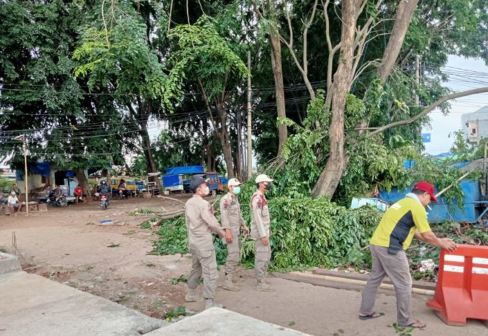 Pohon Puluhan Tahun Ditebang, Bangunan Beton Permanen Bertambah