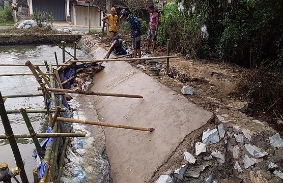 Perbaikan Tanggul Jebol BLA 6 Kedawung Dikebut