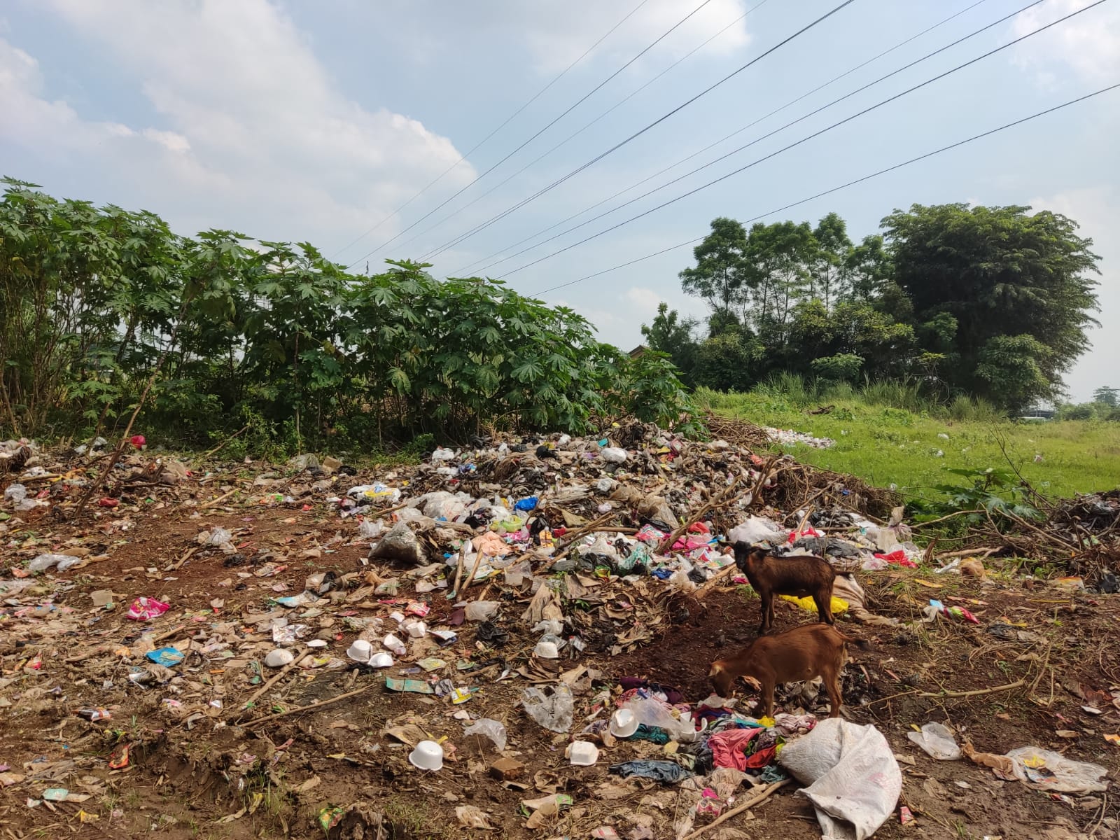 Tak Kuat Bayar, Warga Keluhkan Biaya Angkut Sampah yang Naik 100 Persen