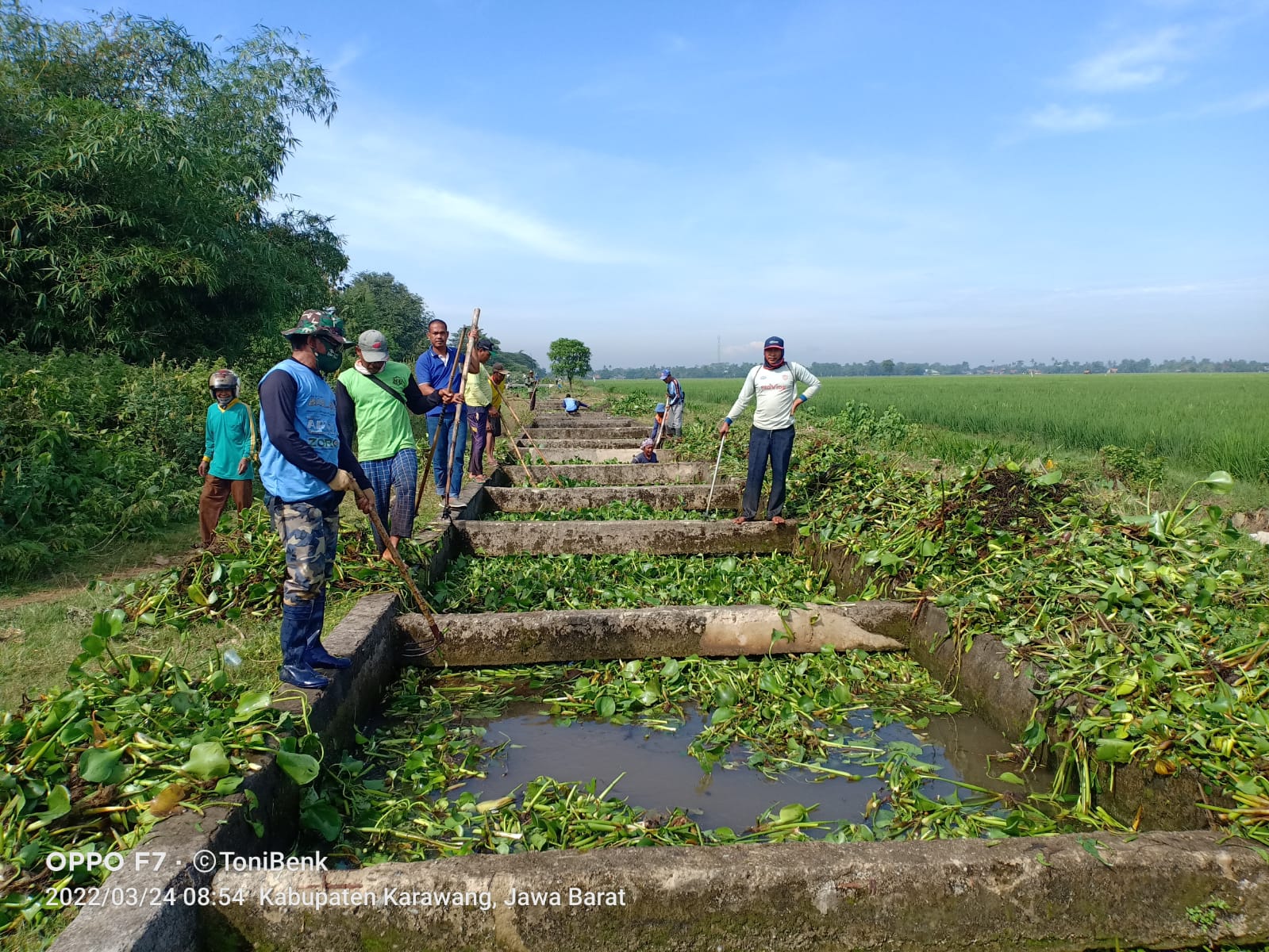 Sungai Penuh Dengan Eceng Gendok, Kades : DPUPR Turunkan Alat Berat!