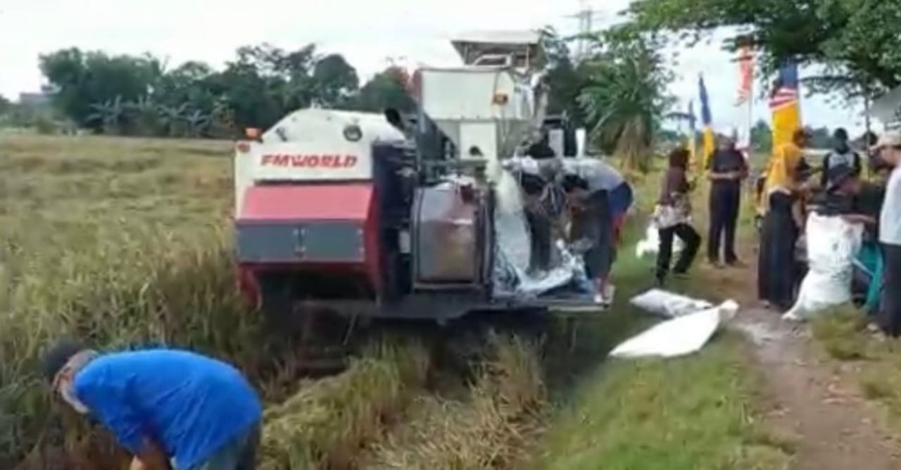 Panen Raya, Kelompok Tani Benda Dikenalkan Mesin Combine