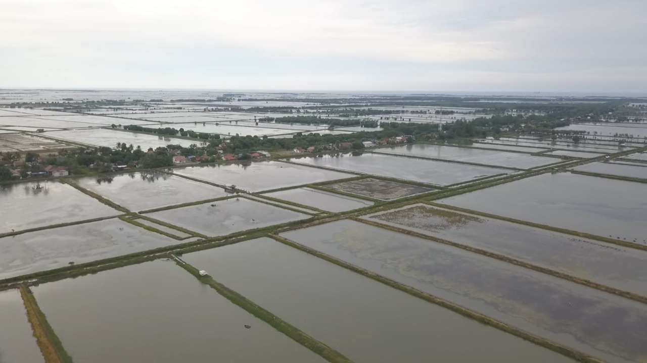 Kementerian Kelautan dan Perikanan Tetapkan Desa Sedari Jadi Kampung Perikanan