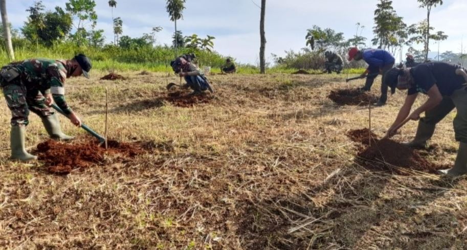 Satgas Citarum Harum Penghijauan di Lahan Kritis