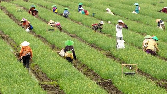 Gubernur Optimis Lompatan Ekonomi di Jabar Utara dan Selatan