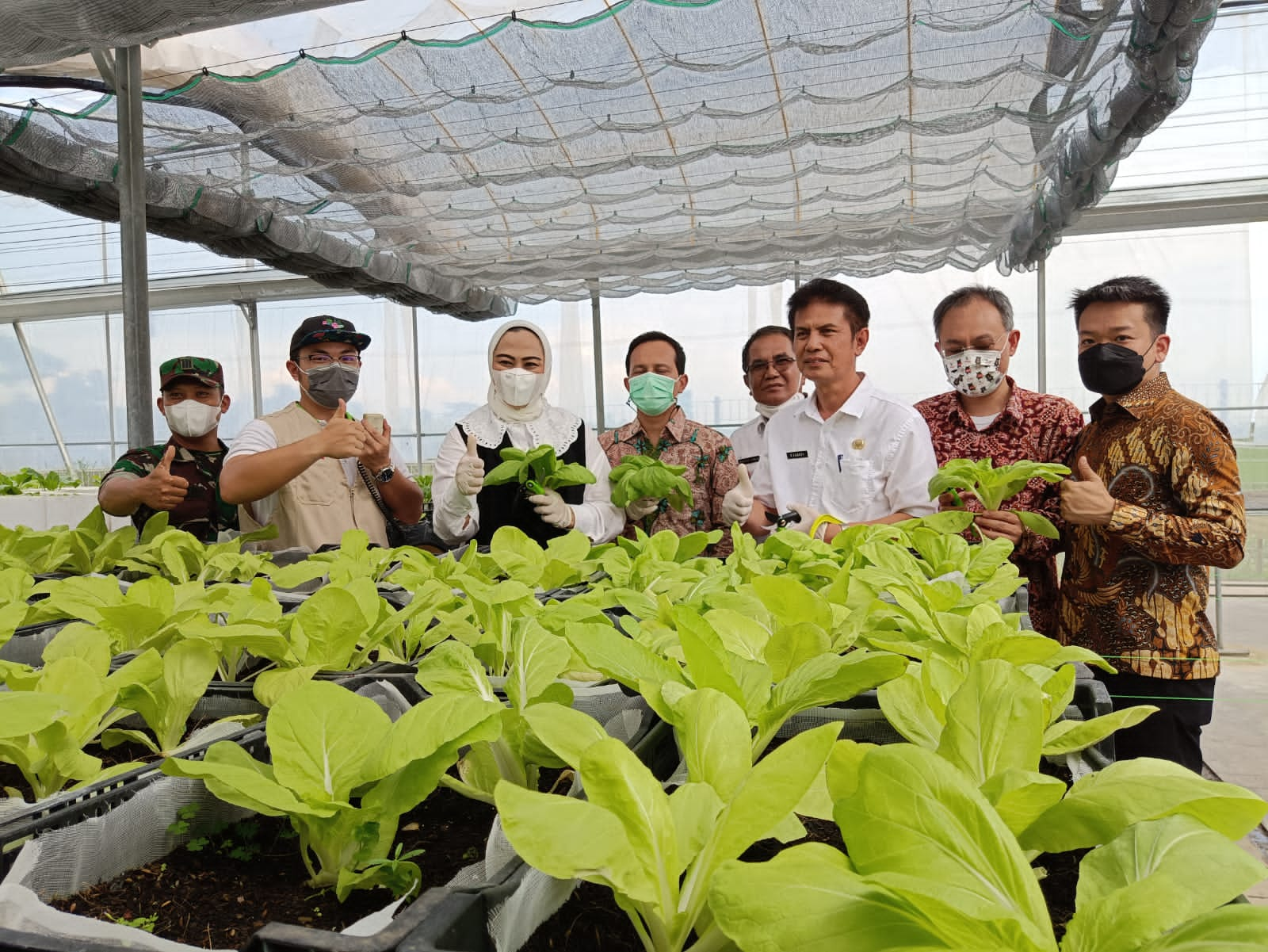 Top! Greenhouse ICDF Bisa Tingkatkan Pendapatan Petani Karawang Â