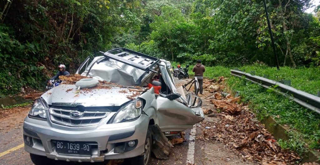 Daihatsu Xenia Ringsek Tertimpa Pohon Besar, 1 Penumpang Tewas, Begini Kondisinya....