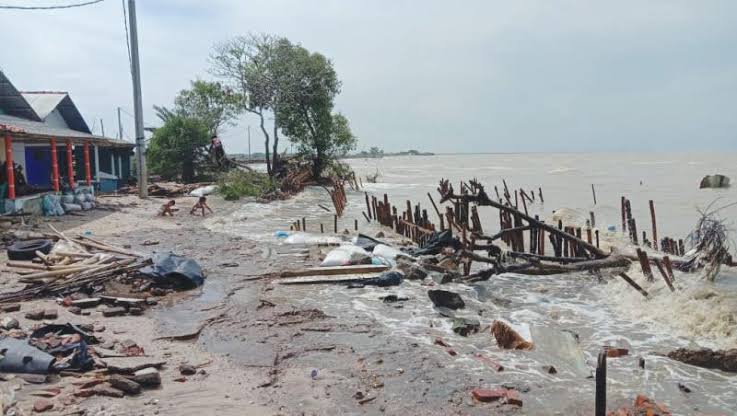 Abrasi di Pantai Utara Karawang Memprihatinkan, DLH Jabar : 90 Persen Hutan Mangrove Rusak Parah Jadi Penyebab