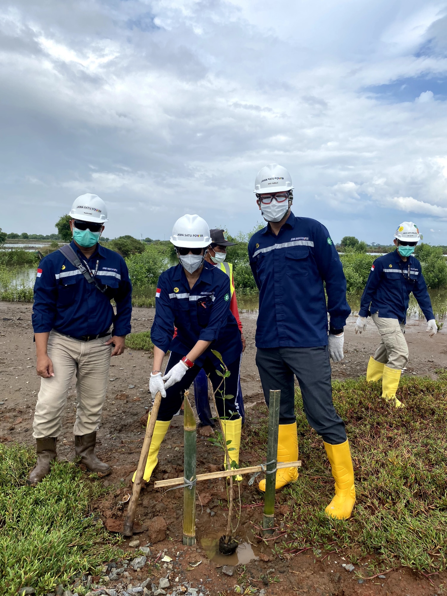 Rayakan Hari Lingkungan Hidup Sedunia, JSP Tanam Pohon Mangrove