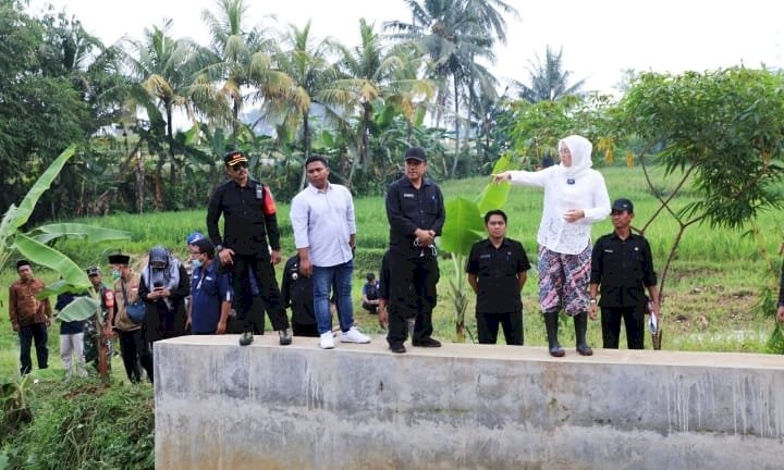 Pemkab Maksimalkan Pembangunan Jaringan Irigasi, Anne : Tingkatkan Produksi Padi