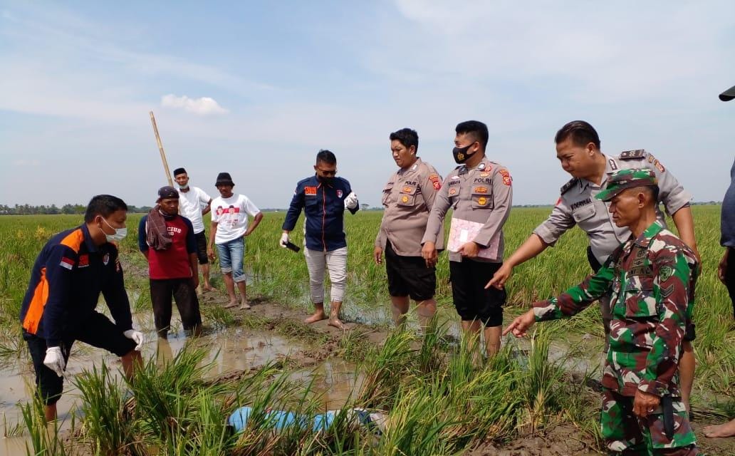 Warga Tirtajaya Gempar Penemuan Mayat di Tengah Sawah