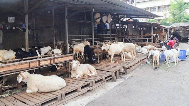 Pemkot Bekasi Diusut Jaksa Usai Kuras Dana Rp 1,9 M Buat Ngerjain Proyek Kandang Kambing