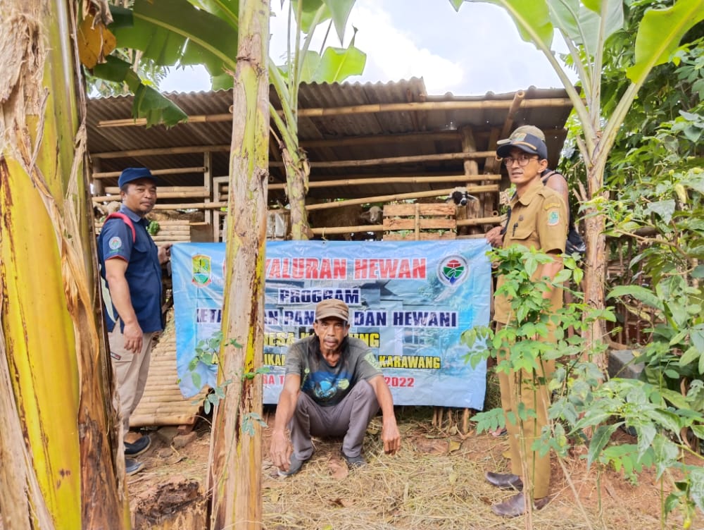 Program Ketahanan Pangan, Pemdes Kamojing Ternak Kambing