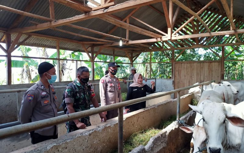 Cegah PMK, Polisi Purwakarta Imbau Cek Kesehatan Hewan