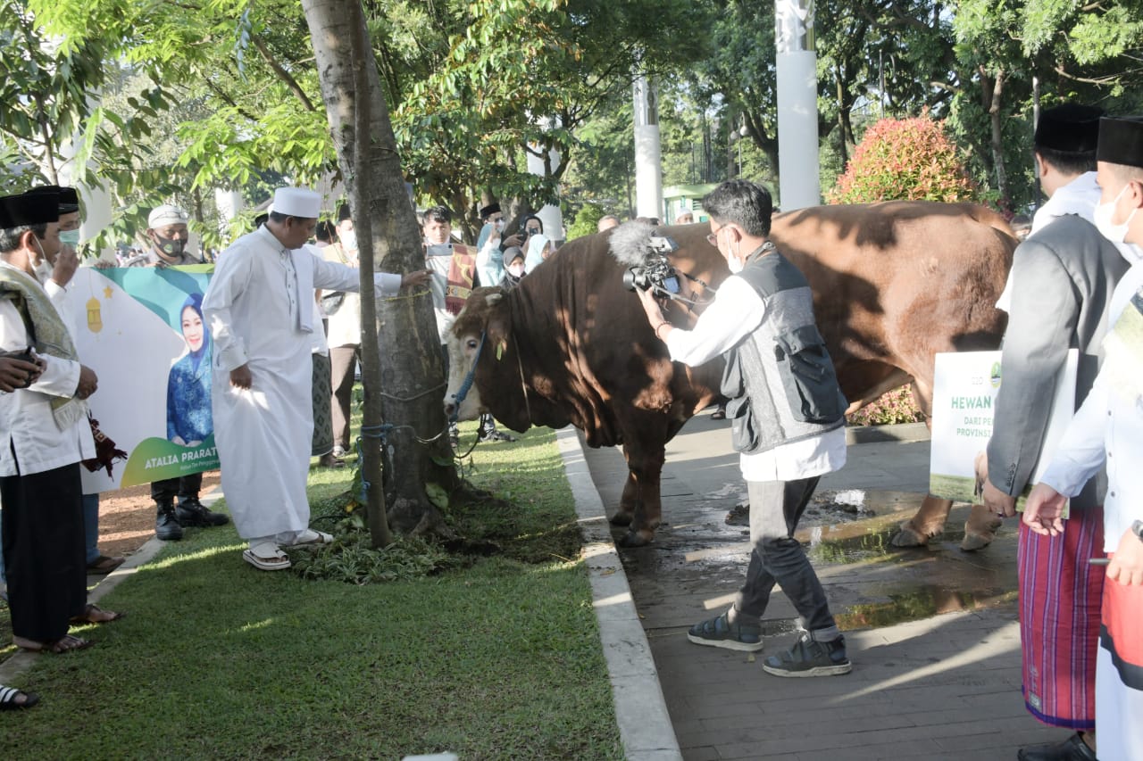 Pemda Provinsi Jabar Serahkan Bantuan Sapi Satu Ton