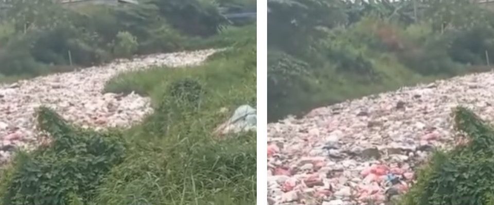 Kali Cibalok Kaliliu Riwayatmu Kini, Dipenuhi Sampah Plastik Sepanjang 600 Meter