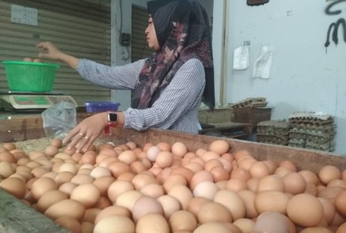 Harga Telur di Kota Bekasi Meroket