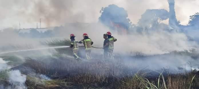 Musim Kemarau, Kebakaran Lahan di Purwakarta