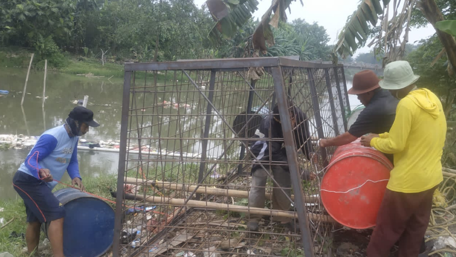 Ratusan Hektar Sawah di Utara Bekasi Terancam Gagal Panen