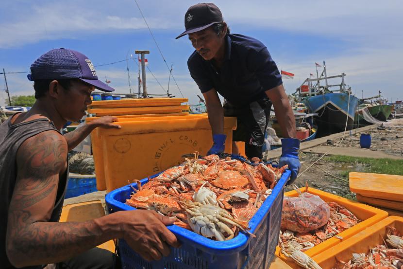 Nelayan Lesu, Harga Rajungan Di Pesisir Karawang Anjlok Dampak Dari Perang Rusia-Ukraina