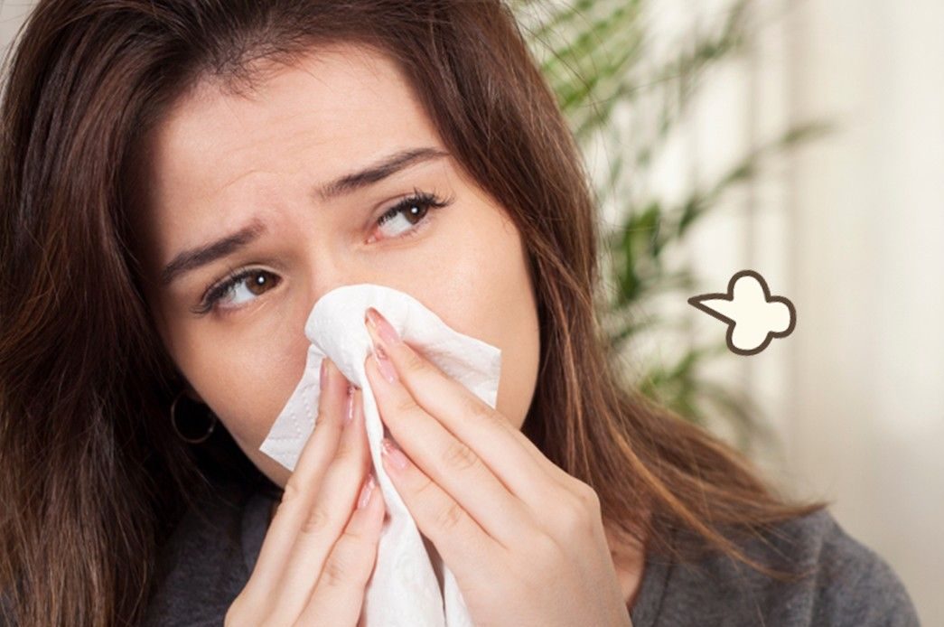 Inilah 5 Obat Flu Paling Ampuh, Jangan Salah Pilih....