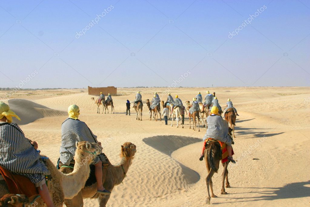 Gurun Sahara Lagi Heboh di TikTok, Ada Apa Ya?